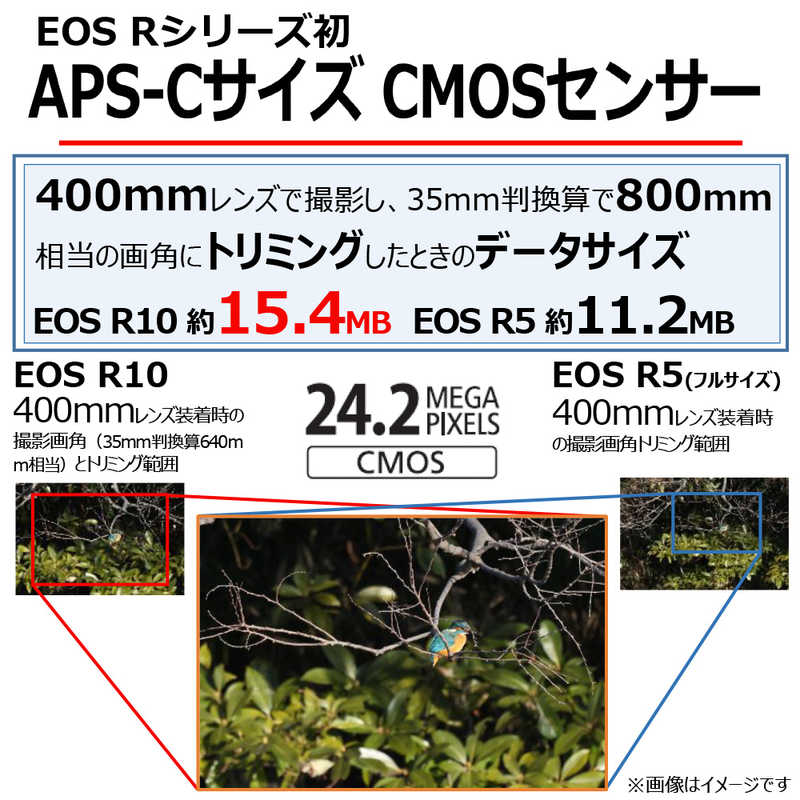 キヤノン　CANON キヤノン　CANON ミラーレス一眼カメラ EOS R10 RF-S18-150 IS STM レンズキット EOS R10 RF-S18-150 IS STM レンズキット
