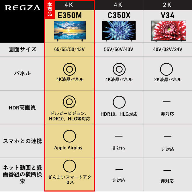 TVS REGZA TVS REGZA 液晶テレビ REGZA(レグザ) 55V型［4K対応 /BS・CS 4Kチューナー内蔵 /YouTube対応］ 55E350M 55E350M